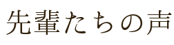 先輩たちの声